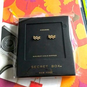 Anthropologie Secret Box CZ Aquarius stud earrings